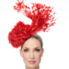 RED HYDRANGEA AND FEATHER