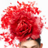 RED FLOWER WITH EXPLODING FEATHERS - Image 7